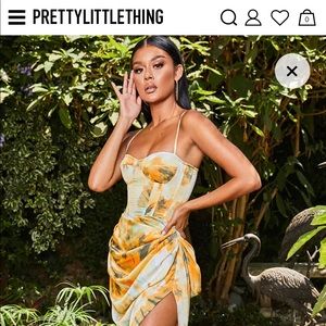 Pretty little thing corset and dress!